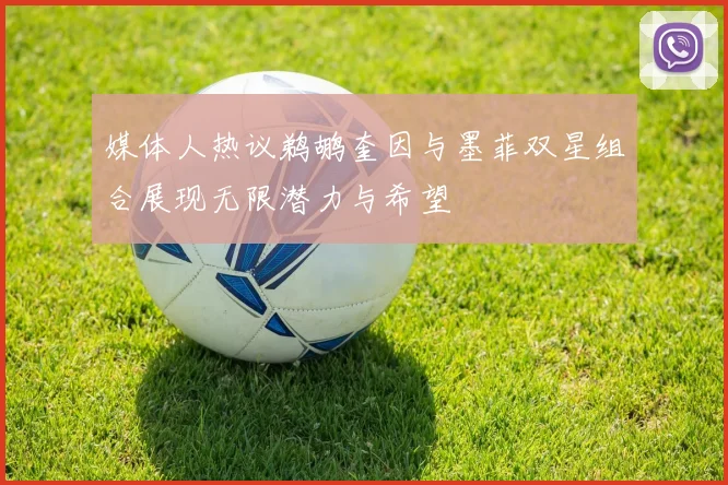 媒体人热议鹈鹕奎因与墨菲双星组合展现无限潜力与希望