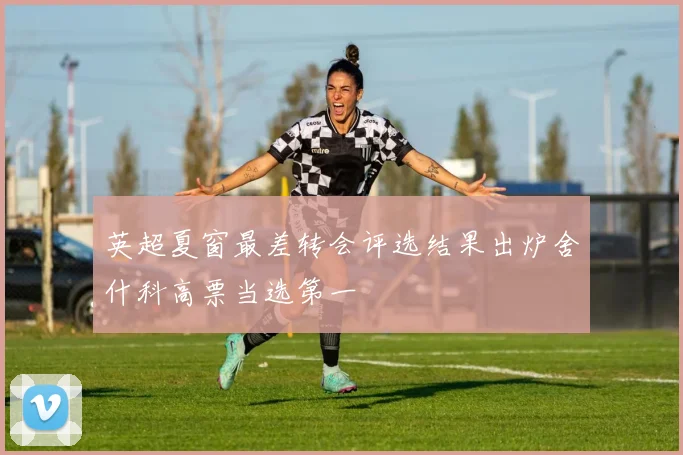 英超夏窗最差转会评选结果出炉舍什科高票当选第一