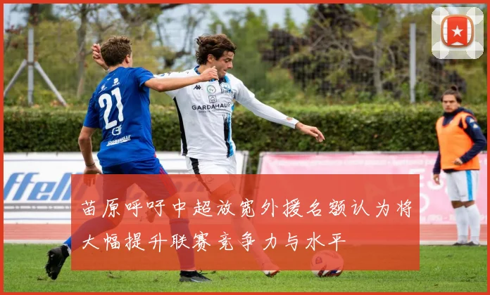 苗原呼吁中超放宽外援名额认为将大幅提升联赛竞争力与水平