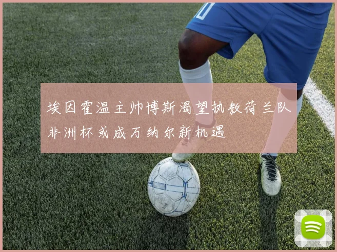 埃因霍温主帅博斯渴望执教荷兰队非洲杯或成万纳尔新机遇