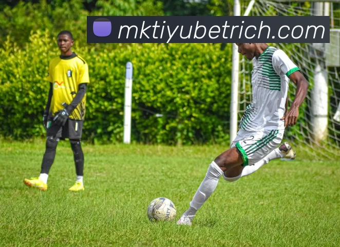 多媒体互动体验