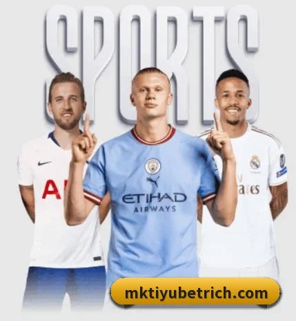 了解平台 - 体育资讯内容服务 | MKSPORTS
